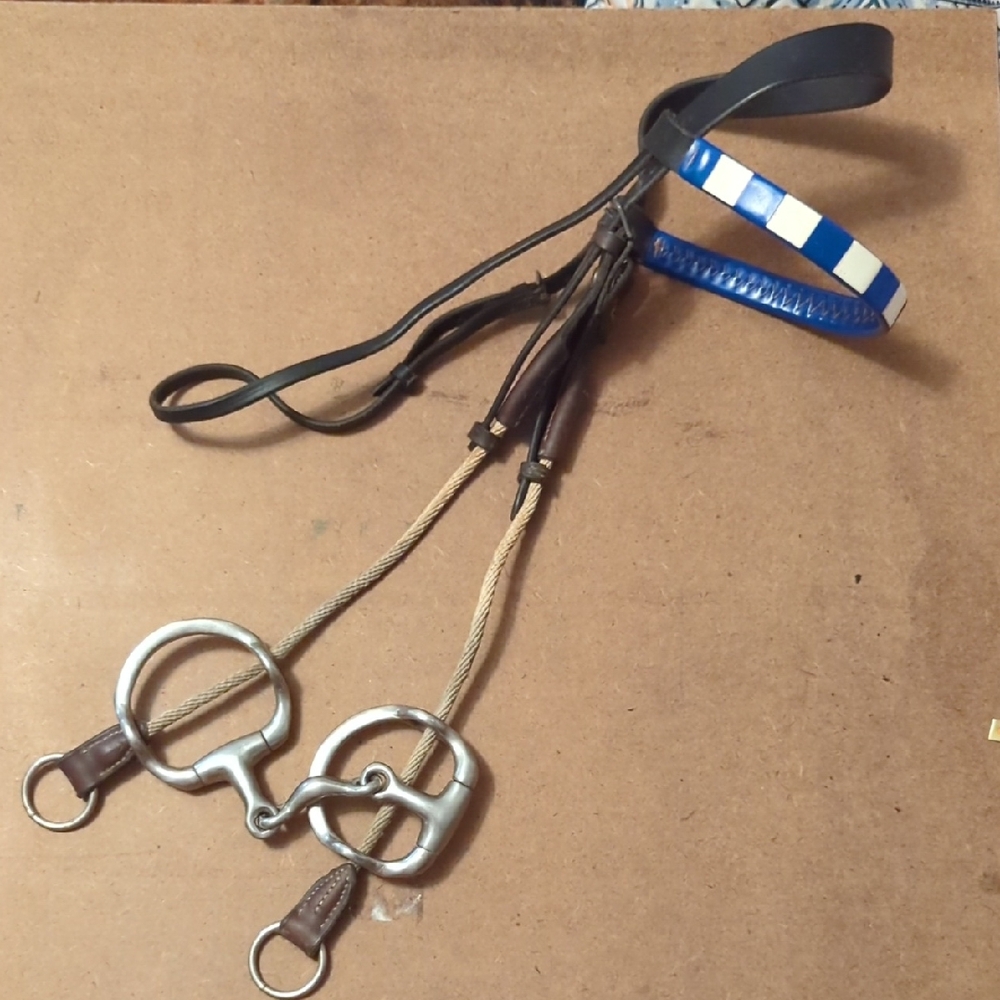 Leather Gag Bit Bridle with Blue Accent Strap